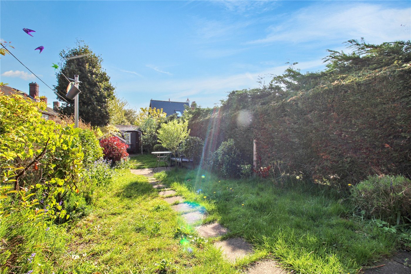 Garden